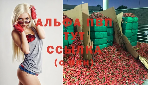 apvp Инта
