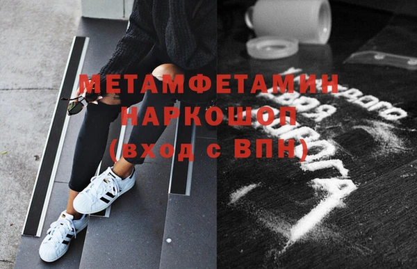 стаф Касимов