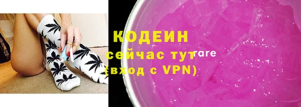 apvp Инта