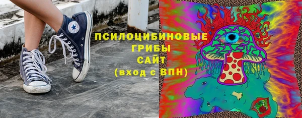 apvp Инта