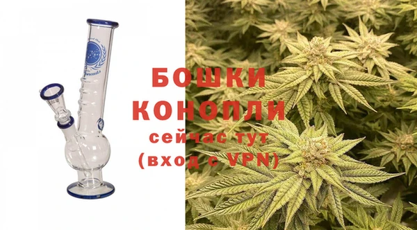 apvp Инта