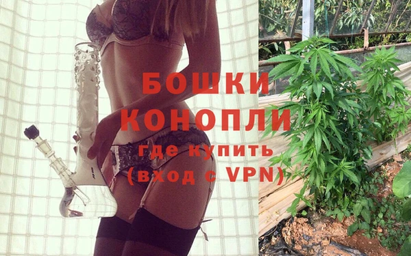 apvp Инта