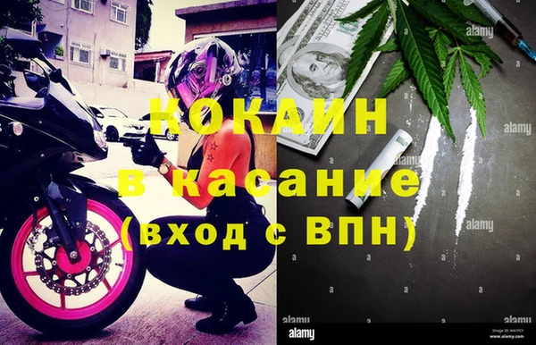apvp Инта