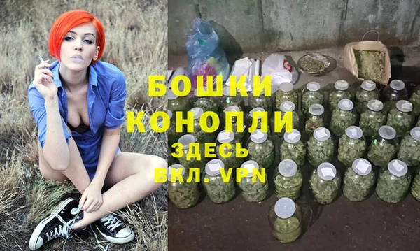 трава Инсар