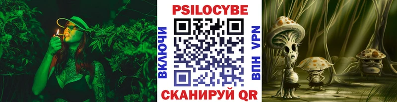 Галлюциногенные грибы Cubensis Конаково
